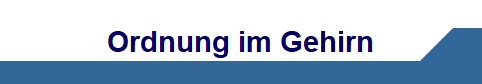 Ordnung im Gehirn